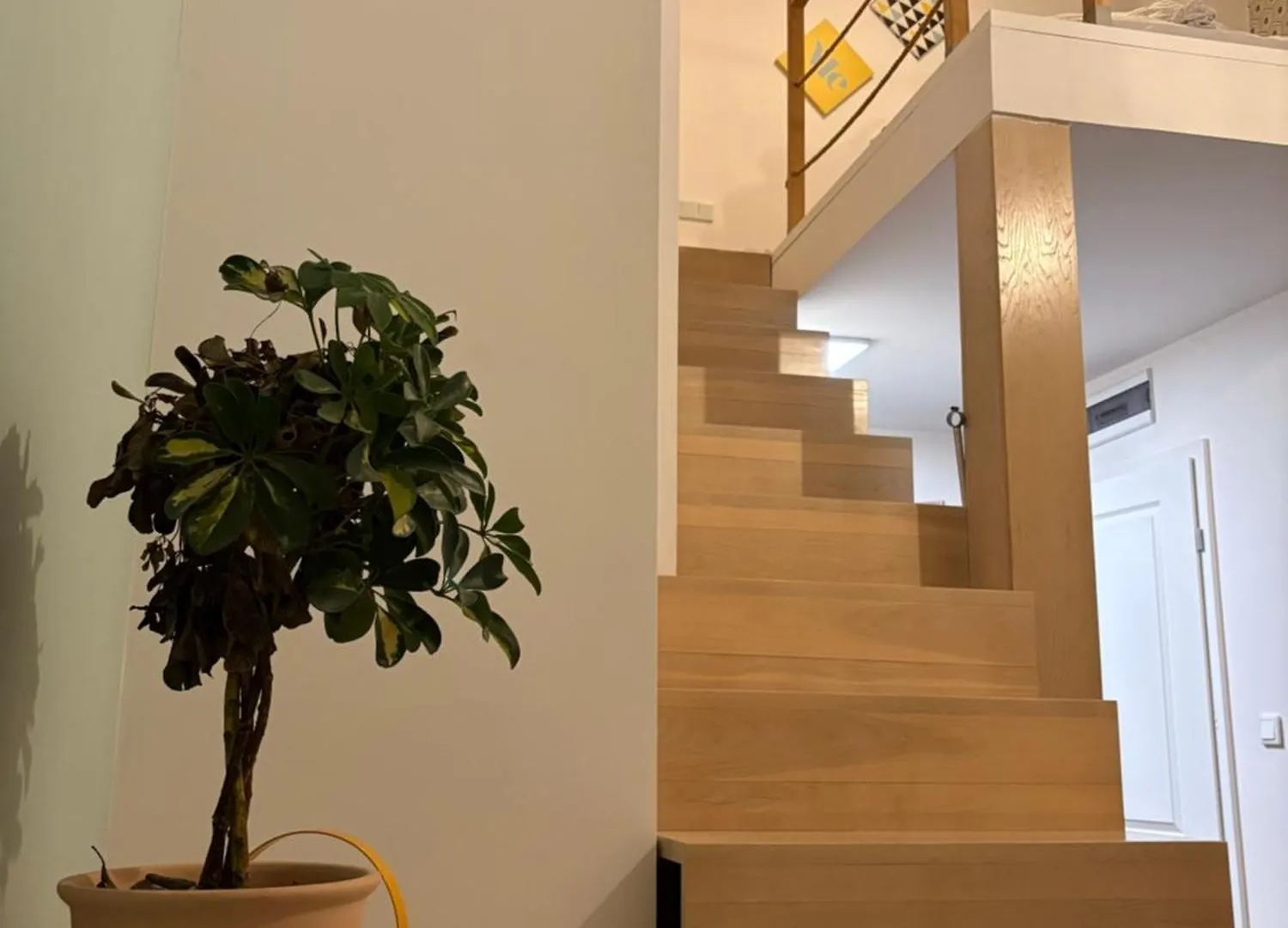 Apartament Caput Mundi Kraków 0*,  Polska